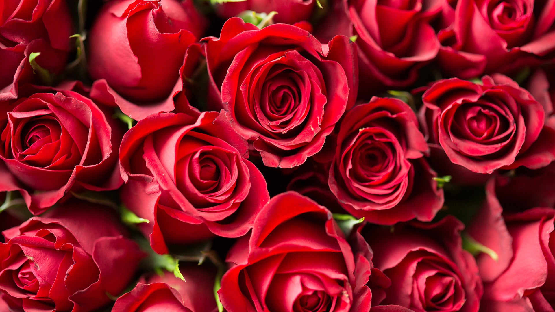 What Women Want for Valentine’s Day