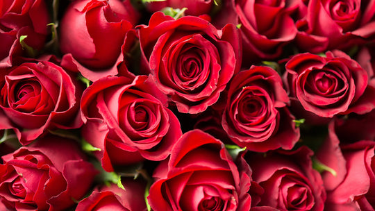 What Women Want for Valentine’s Day